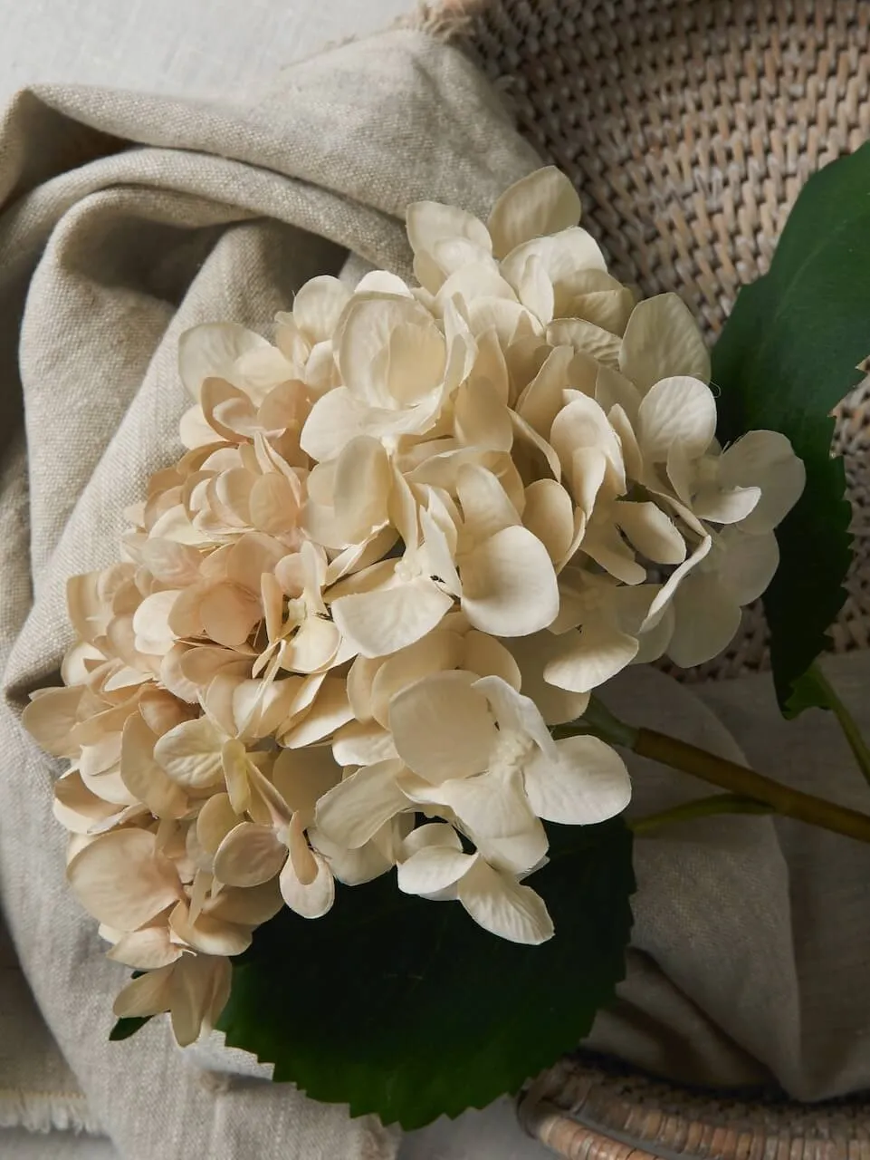 Faux Cream Vintage Hydrangea